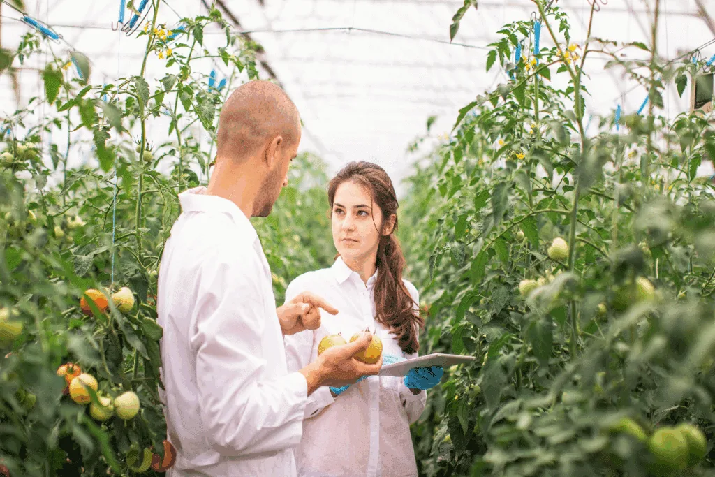Engenharia agronômica: 7 áreas de atuação que ultrapassam o trabalho no campo