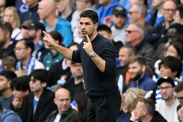Mikel Arteta points finger at Arsenal stars as Gunners thumped by Brighton
