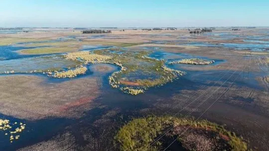 La temperatura récord en el Pacífico alertó a los especialistas por el impacto del "Súper El Niño" en Argentina