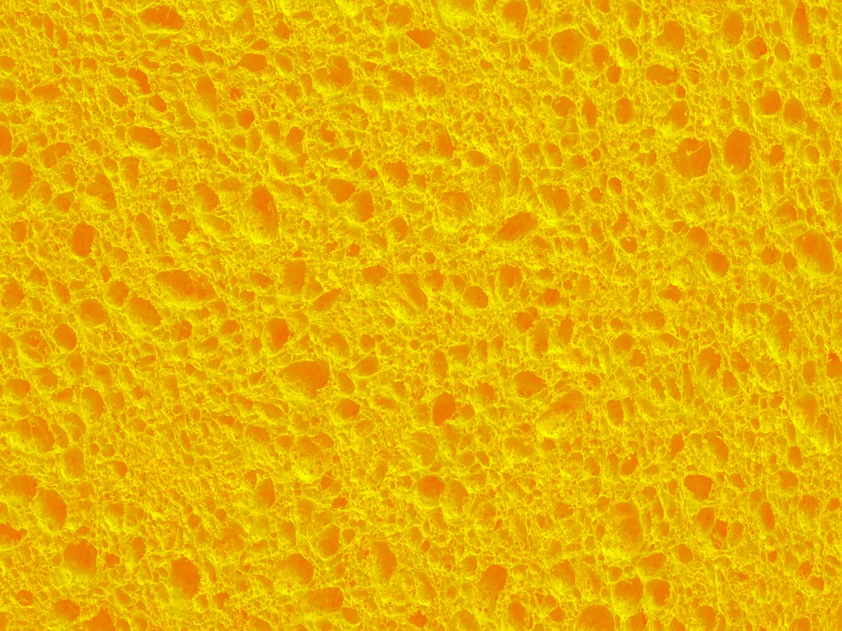 This sponge has holes. Some find that truly disgusting