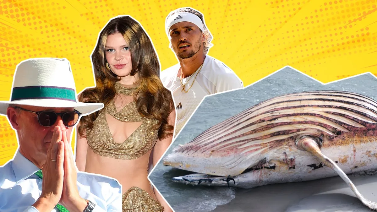 Timmy, Ikkimel und Merz - BILD kürt die 20 Tops und Flops des Sommers