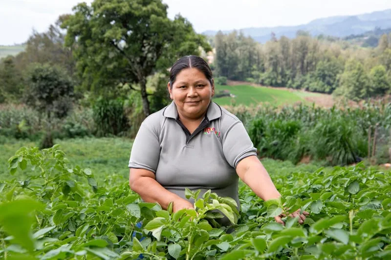 Esta es la historia de Eodora Méndez, la hondureña elegida entre las cien heroínas de la FAO