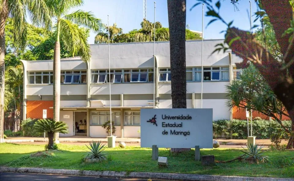Inscrições abertas! UEM anuncia novo curso voltado a uma das áreas que mais crescem no mercado; saiba qual