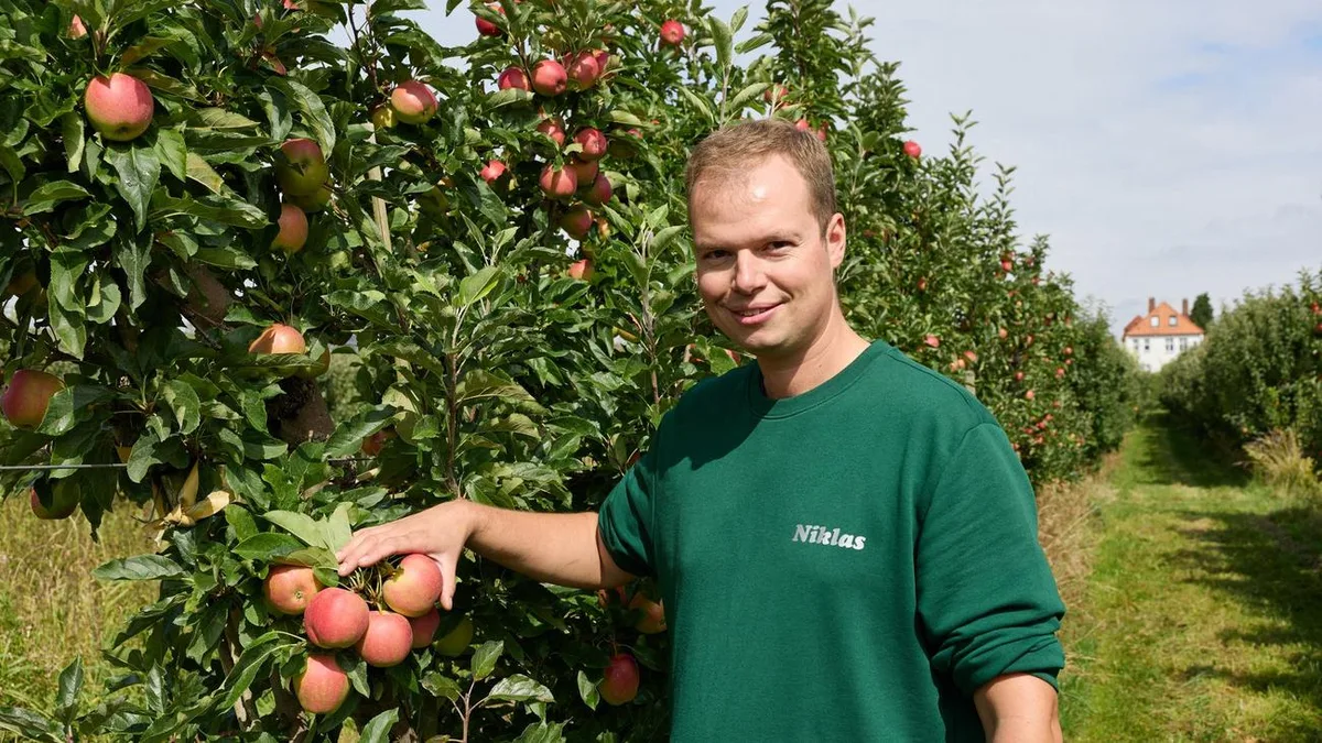 Obstanbau: Äpfel zum Selberpacken – ungewöhnliche Idee im Alten Land