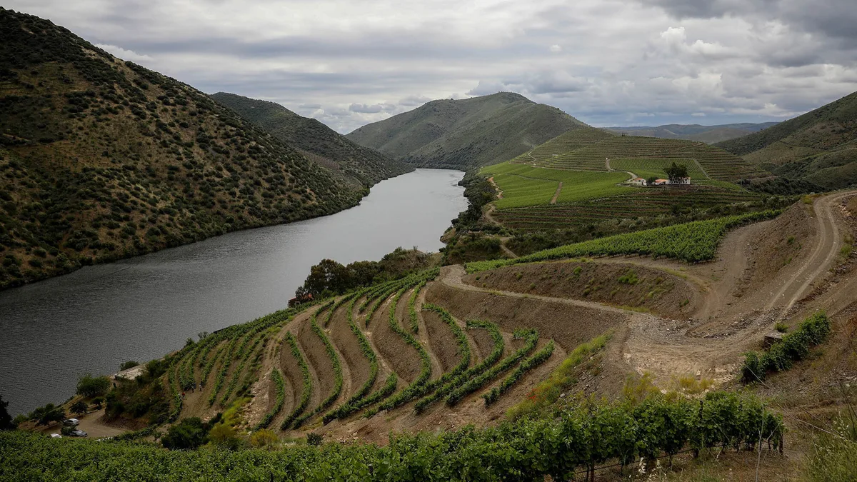 Universidade Politécnica da Guarda junta casas de vinho em curso de enoturismo em Foz Côa