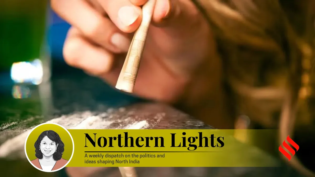 Punjab talks drugs again. Its children are still paying the price