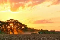 Setor florestal pode transformar potencial do mercado de carbono no Brasil