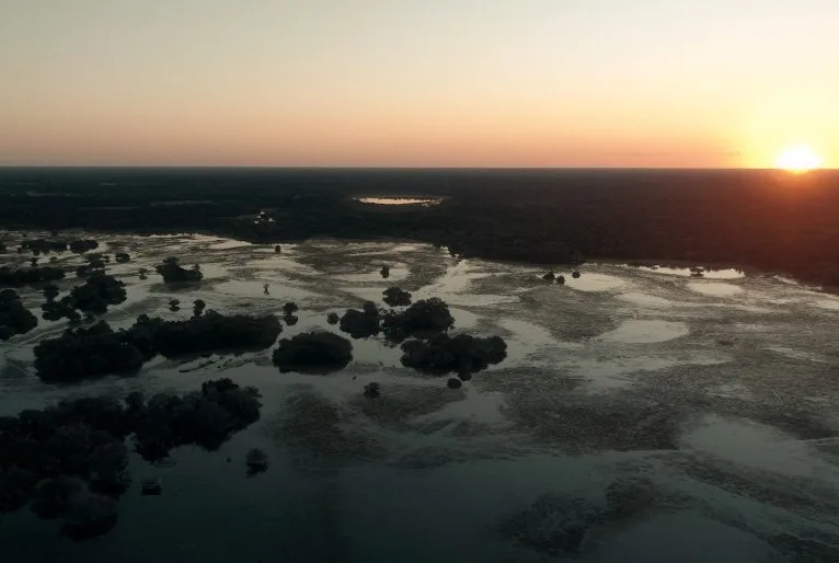 TV Cultura exibe o documentário "Pantanal: Planície das Águas" nesta quarta-feira (2)