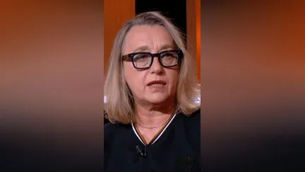 "Pangram, va te faire foutre" : pour l'autrice Virginie Despentes, "Thélyson Orélien n'a pas à se justifier"