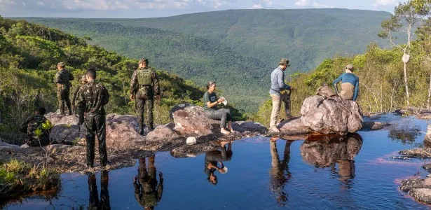 Do Aracá ao Aracazinho: expedição científica coleta dezenas de espécies possivelmente novas na Amazônia