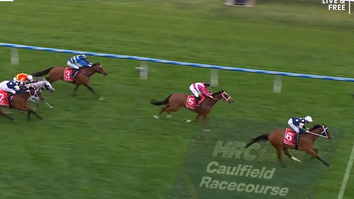Cox Plate awaits for Birdman after dominant win in Underwood Stakes