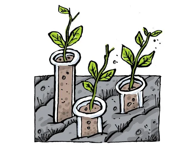 L’Arabie saoudite parie sur l’agriculture hors-sol pour obtenir son indépendance alimentaire