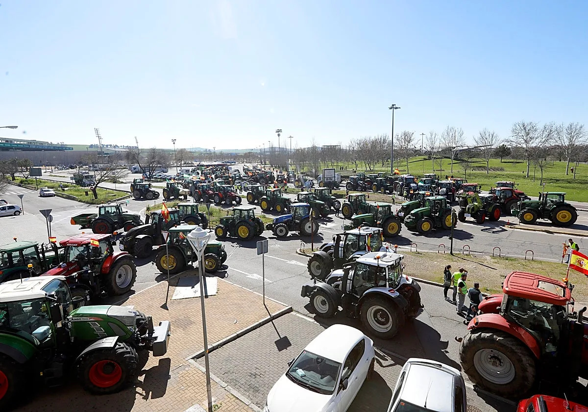 El campo de Córdoba también entra en campaña y estará en una tractorada en Madrid para exigir medidas al Gobierno