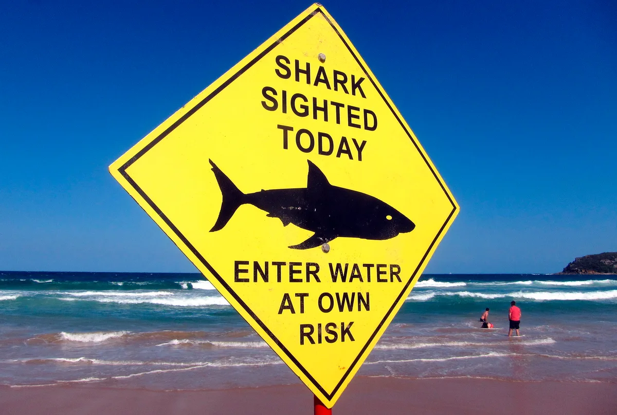 Muere un hombre tras ser atacado por un tiburón en una playa de Australia