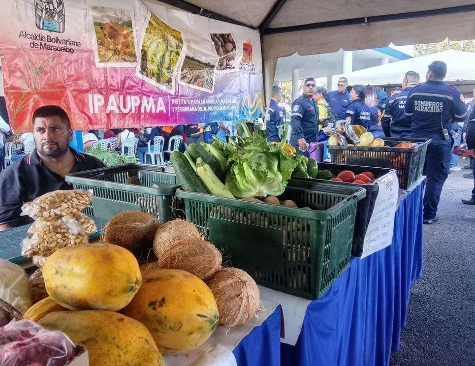 Maracaibo produce el 48% de los productos agrícolas que consume