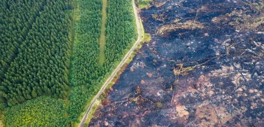 Belgien: Führt die Spur des Waldbrands Naturschutzgebiet Hohes Venn in die Landwirtschaft?