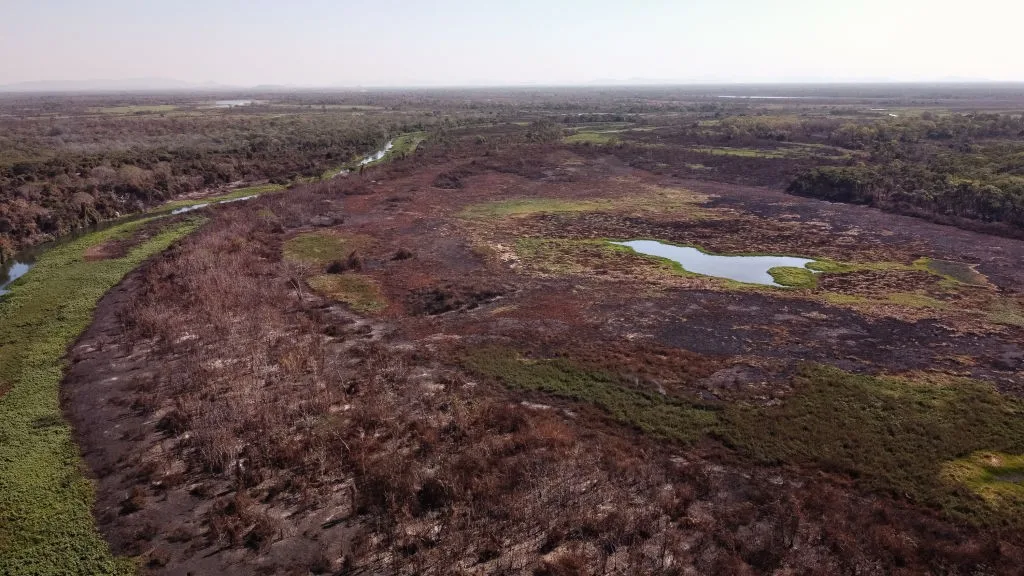 Pantanal perdeu uma Suíça em área alagada nos últimos 40 anos
