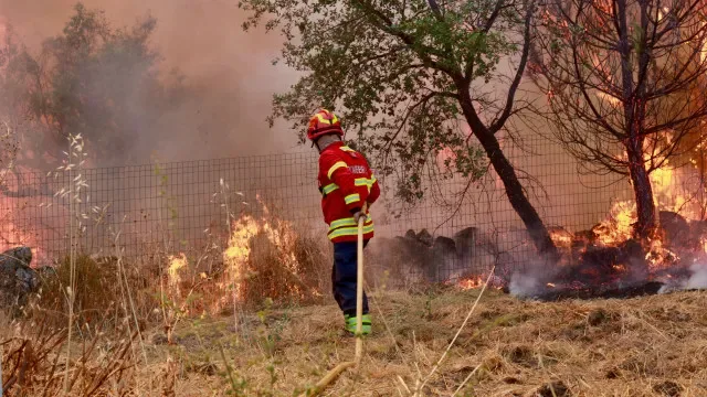 Mais de 900 combatem fogos em Moncorvo, Arouca e Santo Tirso