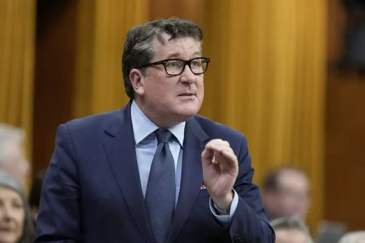MP calls on New Brunswick to reject proposed AI data centre in open letter to premier