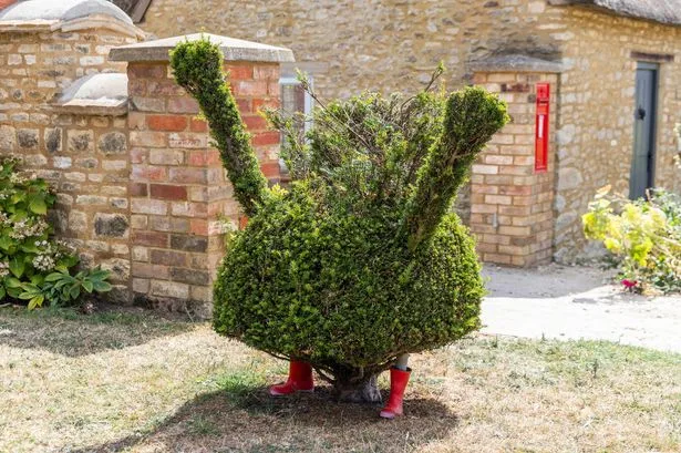 Peppa Pig bush 'beheaded' by heartless vandals sparking police appeal