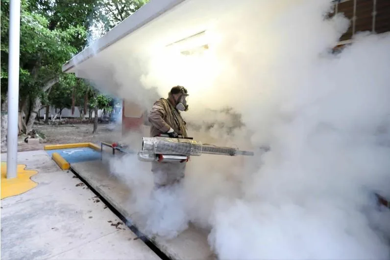 Refuerzan fumigación contra dengue en Coahuila