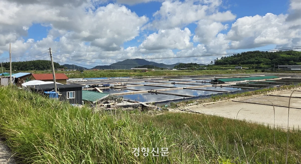 염전서 임금체불 또 적발···영광 3곳서 3600만원 미지급