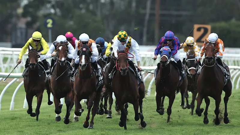 Race-by-race preview and tips for Hawkesbury on Thursday