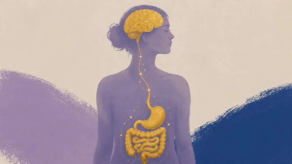 ¿Y si tu memoria empezara en el intestino? Un estudio revela una nueva conexión con el cerebro