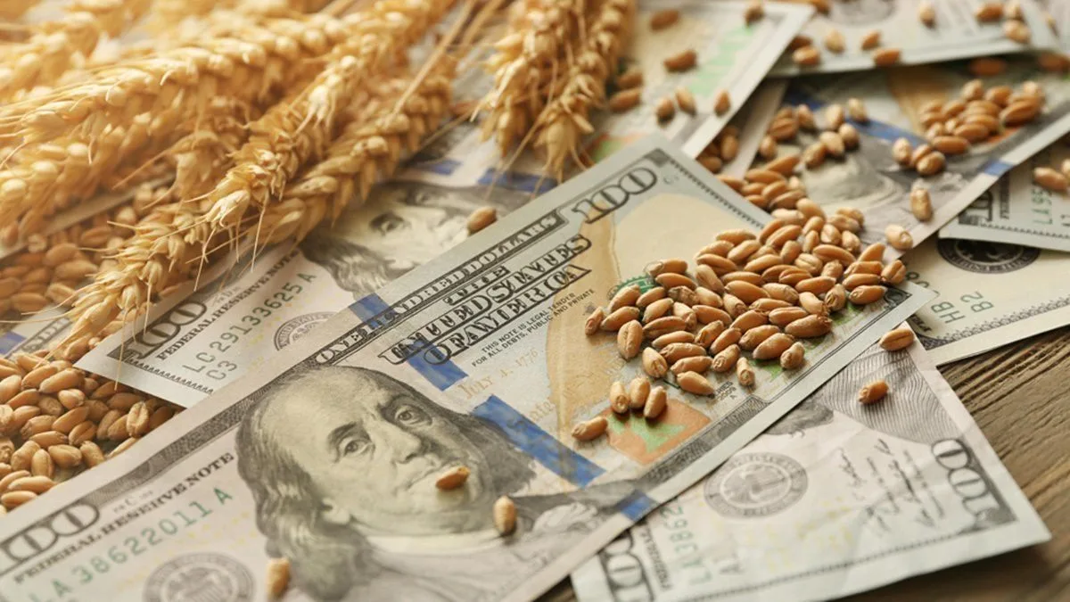 Retenciones: cuánto aportará el campo pese a la baja de las alícuotas