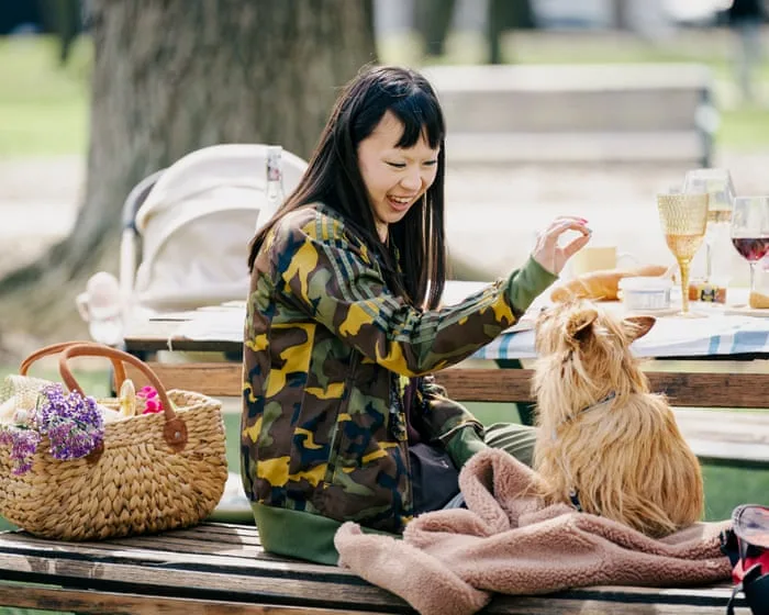 Dog Park: a delightful sitcom that will fill the Colin from Accounts shaped hole in your life