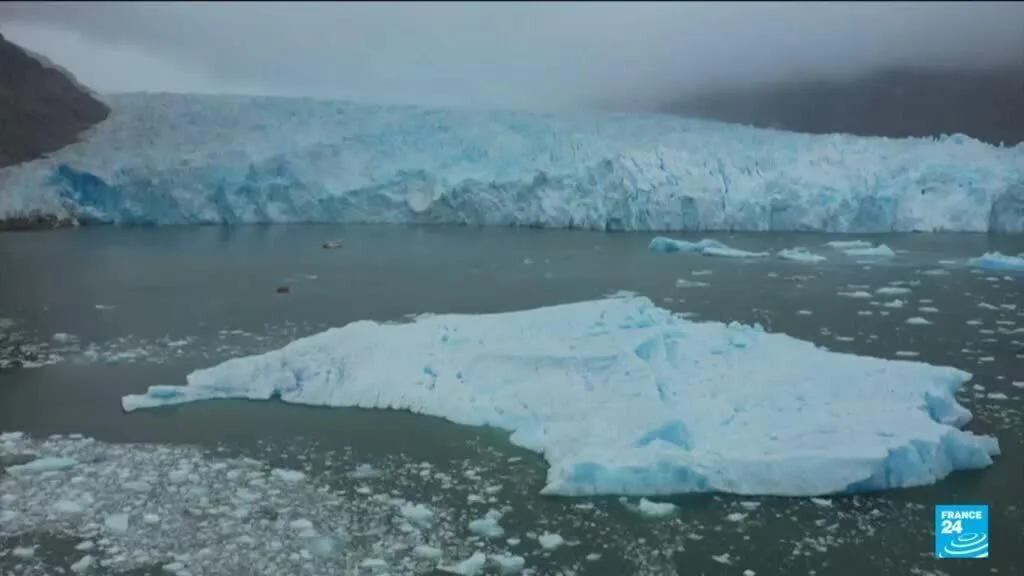 Antarctique : le continent blanc menacé par une simple mouche ?