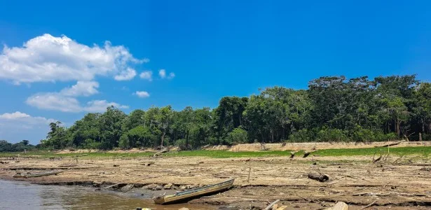 Cientistas usam isótopos da água para mapear alterações nas chuvas da Amazônia