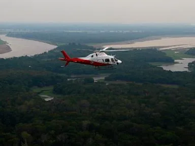 Brazil says Amazon deforestation fell to the lowest level since 1988