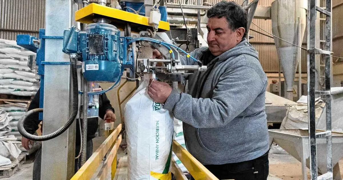 De trabajar a mano a producir 3.500 toneladas al año de uno de los principales insumos de la ganadería en la Patagonia