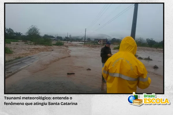 Tsunami meteorológico: entenda o fenômeno que atingul Santa Catarina