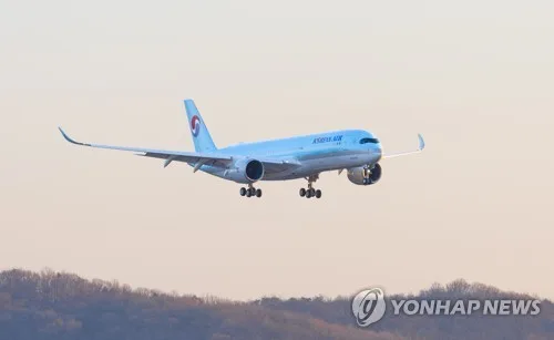 다낭 향하던 대한항공 여객기 부산 회항…엔진 이상 신호