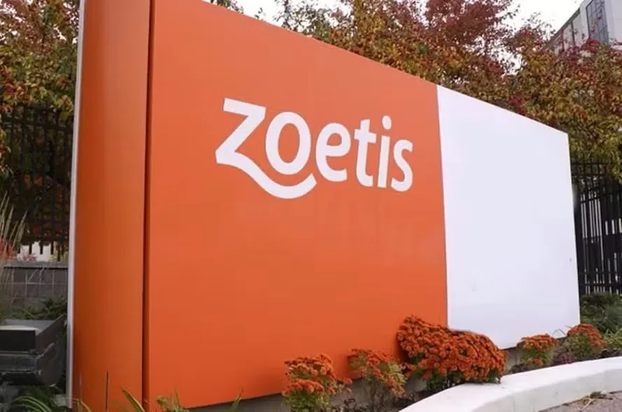 Grupo Petz Cobasi tem lucro líquido de R$ 70,3 milhões no 2º tri