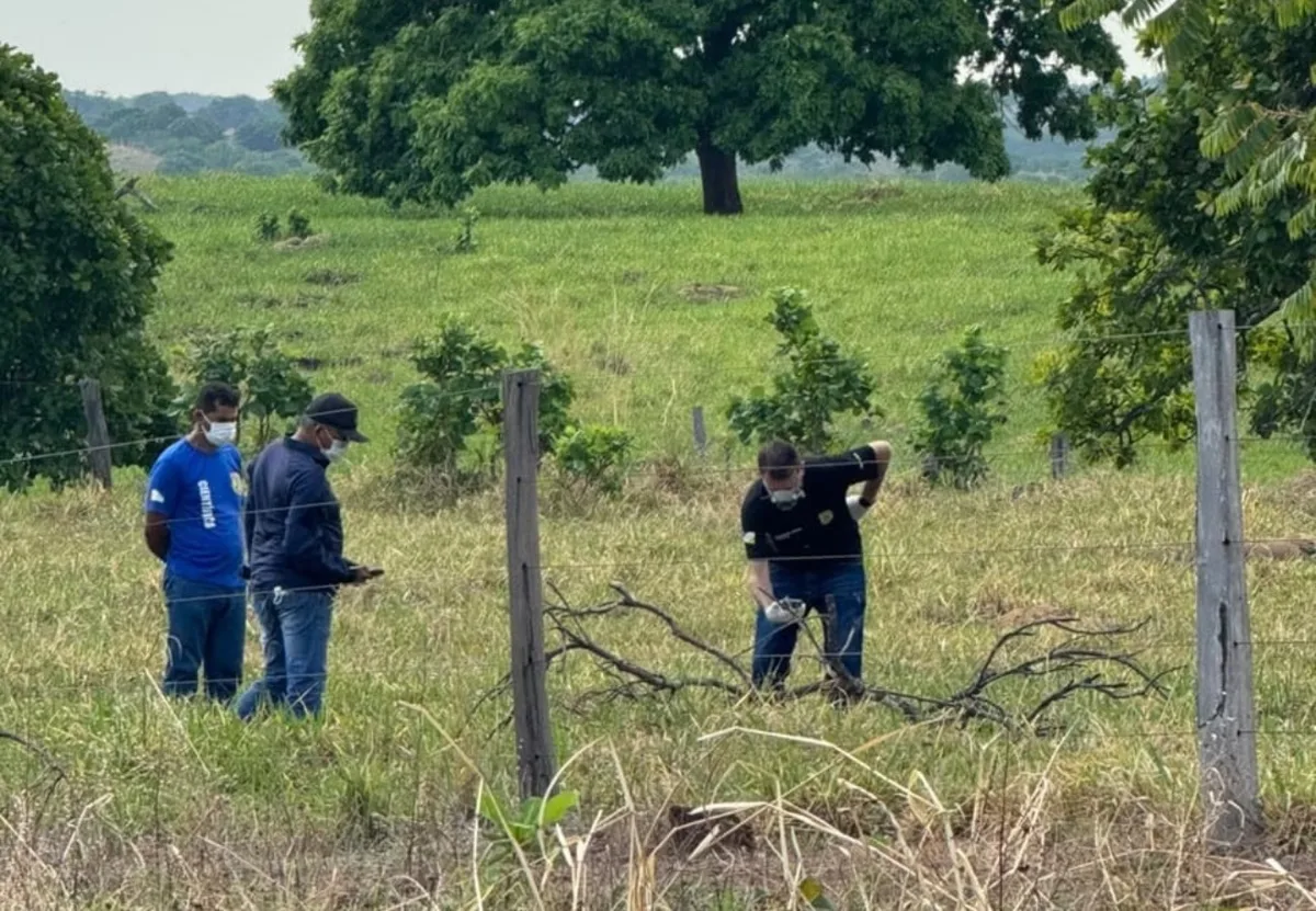 Corpo em decomposição é encontrado às margens da TO-336