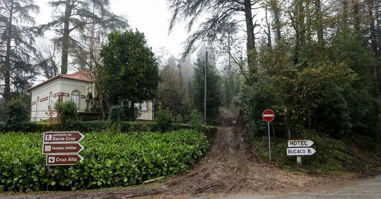 Termina consulta pública do plano de restauro da natureza