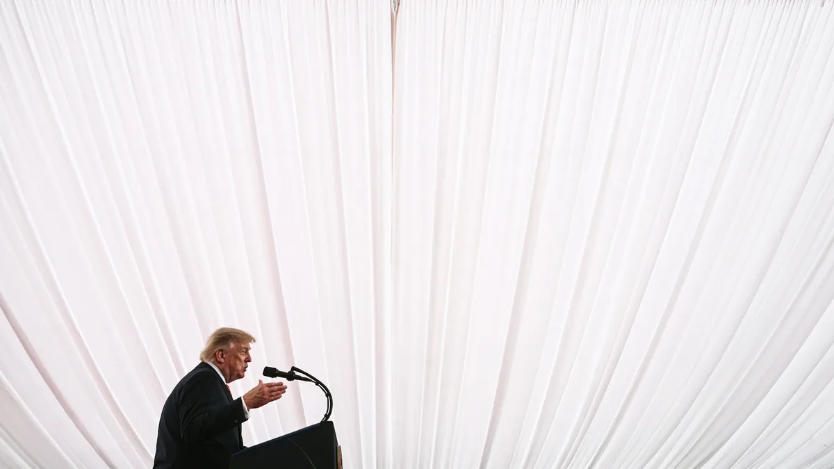 Who Needs Regulation When Trump Is President?