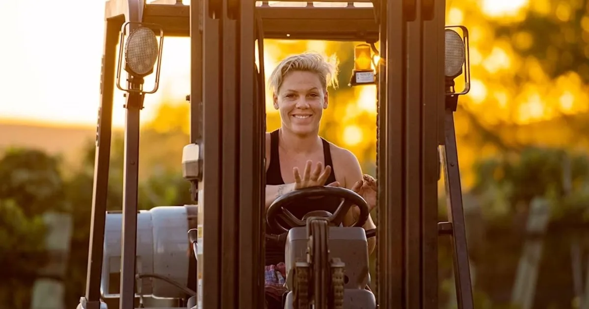 Pink pagó casi 9 millones de dólares por un campo de 200 acres en California, 13 años después la propiedad se ha convertido en un viñedo orgánico en funcionamiento que produce su vino propio
