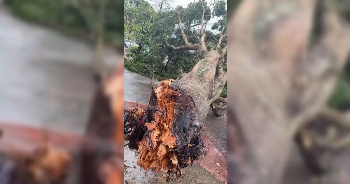 Temporal arrasta brinquedo inflável e deixa duas crianças feridas em Apucarana