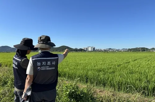 금산 불법농지 잡는다…8∼12월 심층 조사 돌입