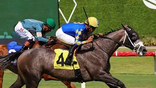 Samy Camacho en gran demostración gana stakes de $100,000 en Gulfstream Park