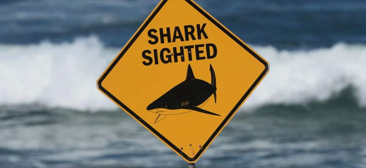 Man bitten by shark at Western Australian beach