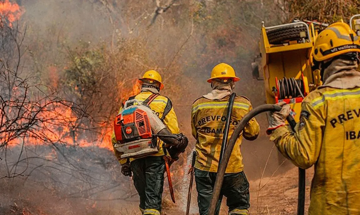 Ministro diz que incêndios no Amazonas são criminosos: “Mais grave do que o esperado”