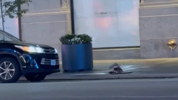 Mystery trio in headlamps and overalls emerges from Manhattan manhole, prompting NYPD probe