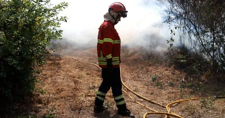 2.000 hectares de área ardida no Parque de Montesinho