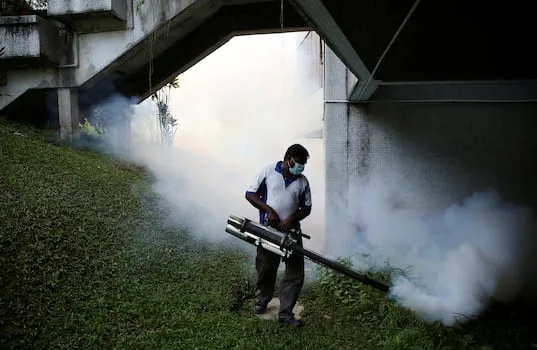 Dengue fever cases up 56% in Klang Valley, health ministry warns