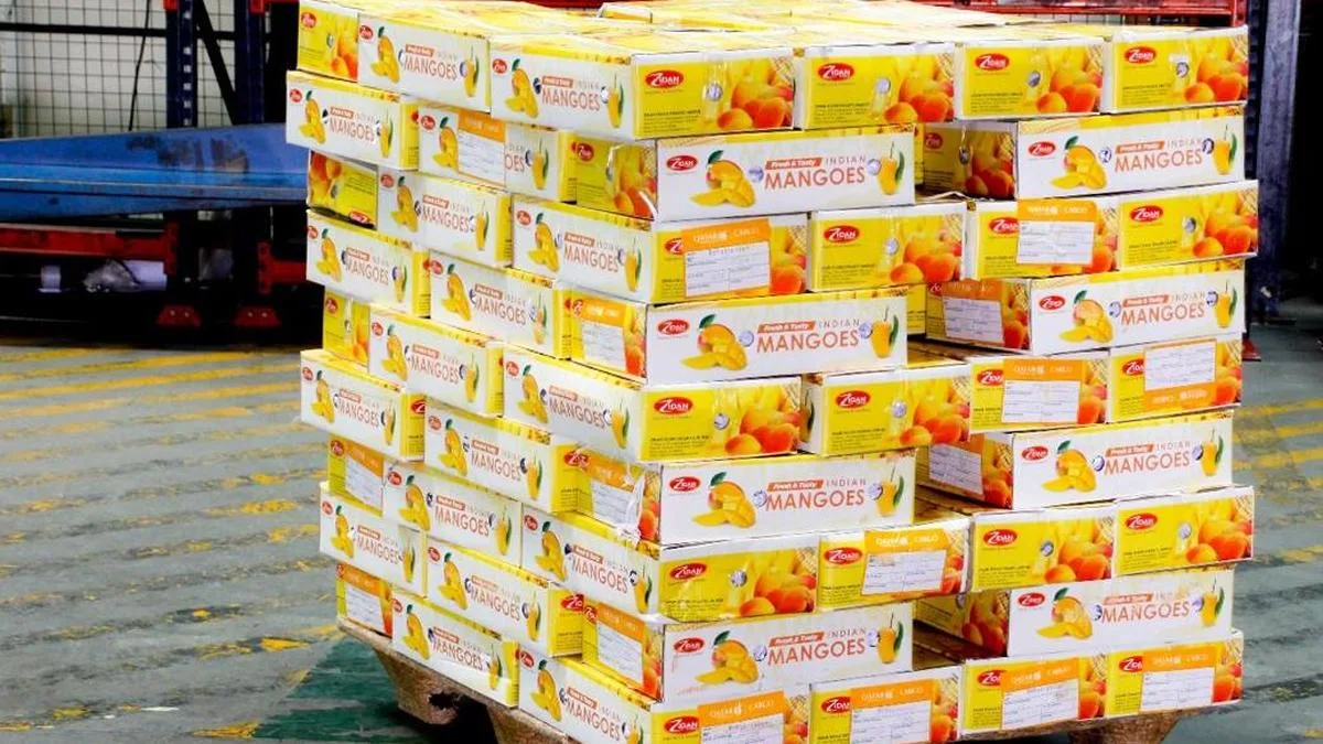 U.K., U.S. top destination for mangoes from Bengaluru airport